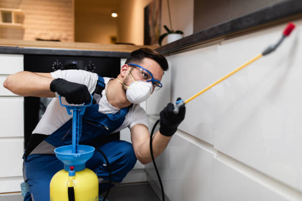 Best Flea Control Services  in Midway North, TX