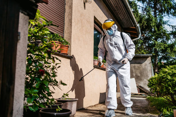 Best Pest Prevention Services  in Midway North, TX