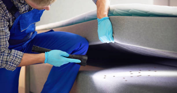 Best Cockroach Control Services  in Midway North, TX