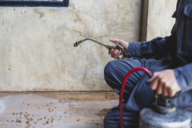 Best Exterminator Services  in Midway North, TX